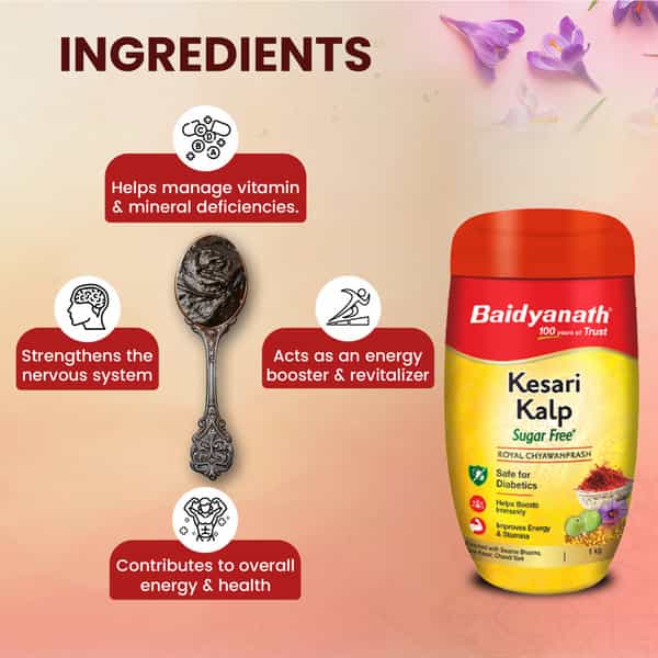 Baidyanath Ayurved Sugar Free Kesari Kalp Royal Chyawanprash 1Kg