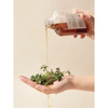 B.o.m Cosmetics Just One Houttuynia Cordata Extract - 150Ml