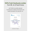 B.o.m Cosmetics Just One Houttuynia Cordata Extract - 150Ml