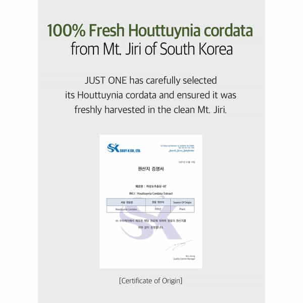 B.o.m Cosmetics Just One Houttuynia Cordata Extract - 150Ml