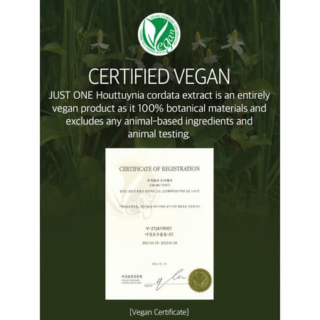 B.o.m Cosmetics Just One Houttuynia Cordata Extract - 150Ml