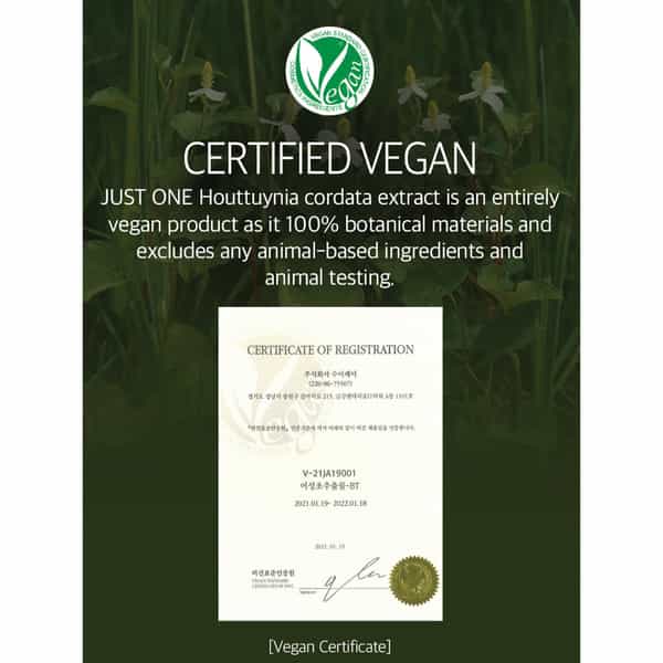 B.o.m Cosmetics Just One Houttuynia Cordata Extract - 150Ml