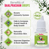 Babyorgano Swarnaprashan Immunity Concentration & Memory Booster For The Kids - 15 Ml