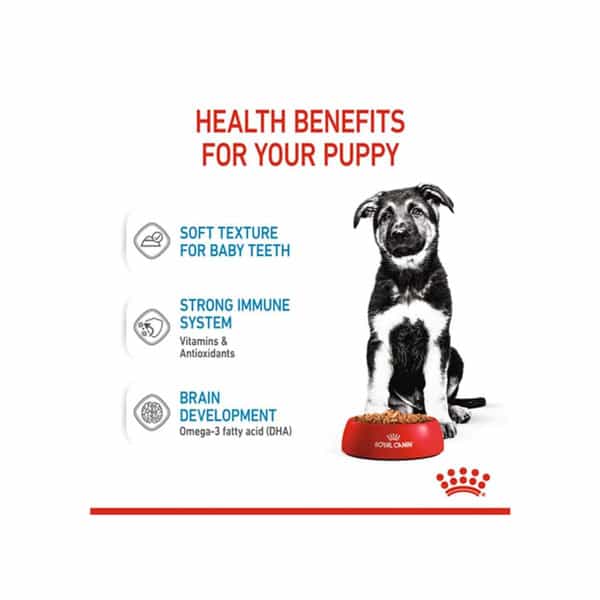Royal Canin Maxi Puppy Food For Stage 3 | 104 Grams | Pack Of 10 Sachet | Wet Food