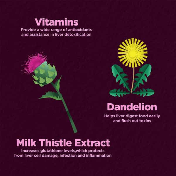 Foresta Organics Liver Detox With Milk Thistle Extract Dandelion & Vitamins Vegan 60 Capsules