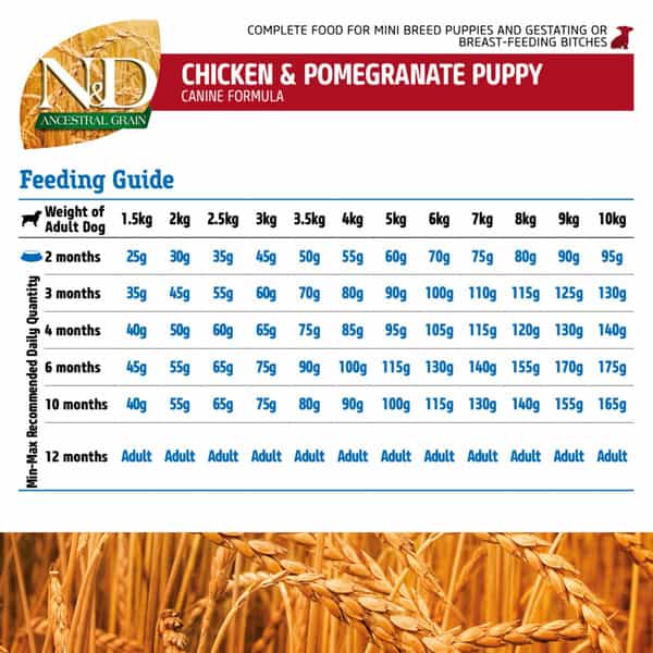 Farmina N&D Pumpkin Adult Mini Dog Food | Chicken | Pomegranate & Pumpkin | 2.5Kg
