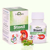Hashmi Stonil Capsule The Easy & Quick Ayurvedic Medicine For Kidney Stone 20 Capsules