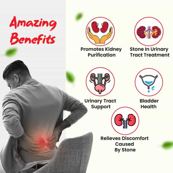 Hashmi Stonil Capsule The Easy & Quick Ayurvedic Medicine For Kidney Stone 20 Capsules