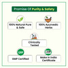 Hashmi Stonil Capsule The Easy & Quick Ayurvedic Medicine For Kidney Stone 20 Capsules