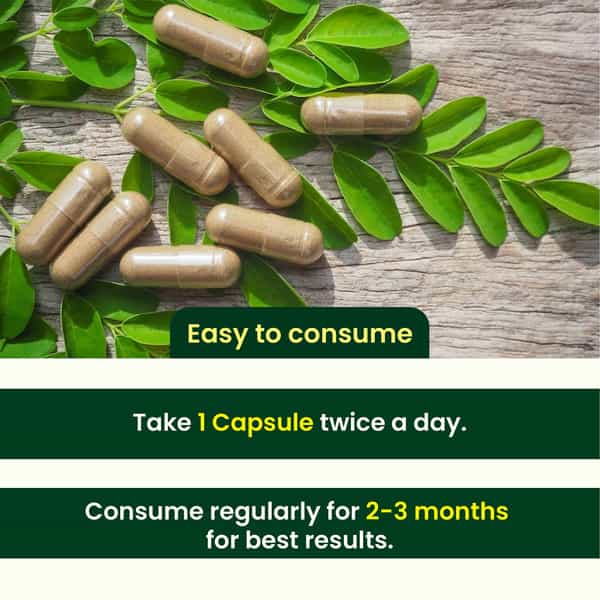Hashmi Stonil Capsule The Easy & Quick Ayurvedic Medicine For Kidney Stone 20 Capsules