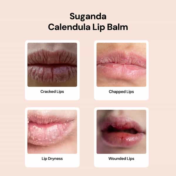 Suganda Calendula Lip Balm 4G