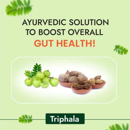 Cipzer Triphala Juice 500ml | Supports Digestion| Blood Purification & Metabolic Wellness