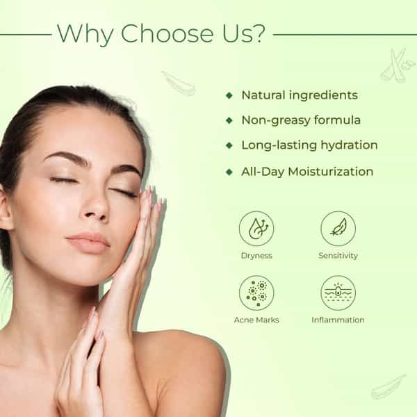 Moiste Aloe Vera Moisturizing Cream - Pack Of 3