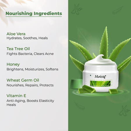 Moiste Aloe Vera Moisturizing Cream - Pack Of 3
