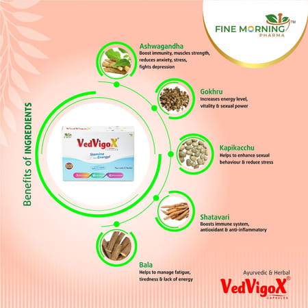 Fine Morning Pharma Vedvigox Ayurvedic Immunity Booster Capsules - 30 Capsules