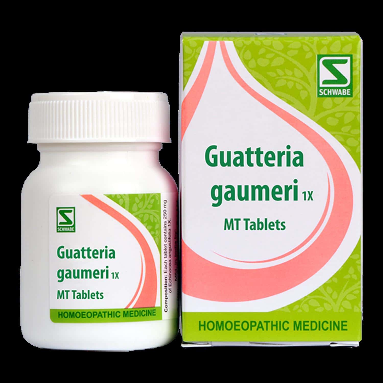 Dr. Willmar Schwabe India Guatteria Gaumeri 1x 20gm