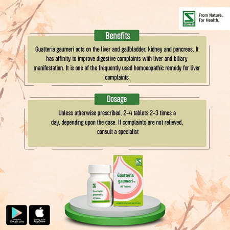 Dr. Willmar Schwabe India Guatteria Gaumeri 1x 20gm