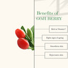 Good Vibes Plus - Vitamin C + Goji Berry Face Serum- 10 Ml