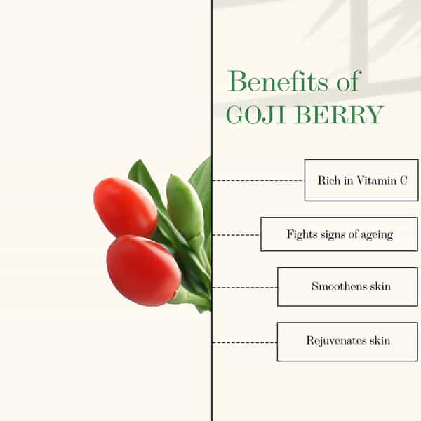 Good Vibes Plus - Vitamin C + Goji Berry Face Serum- 10 Ml