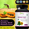 Riffway Papaya Leaf Herbal Capsules | Promotes Digestive Health - 30 No's