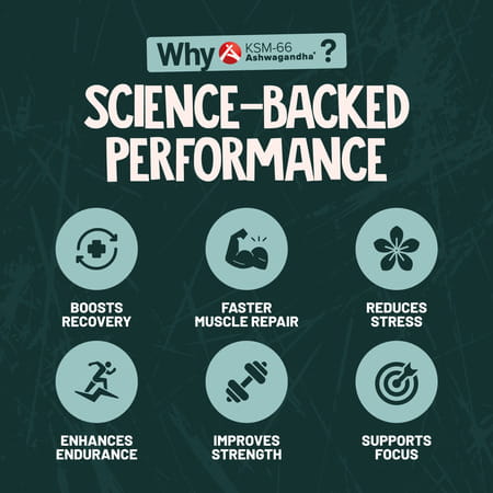 Alpino Super Peanut Butter With Ksm-66 Ashwagandha Chocolate Crunch Jar 1 Kg