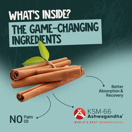 Alpino Super Peanut Butter With Ksm-66 Ashwagandha Chocolate Crunch Jar 1 Kg