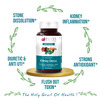 Bliss Welness Kidney Detox|For Men And Women|Ayurvedic Herbal Supplement- 60 Veg Tablets