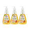 Rosa Hand Wash With Orange Splash & Mix Fruit I Deep Cleansing & Prevents Dryness I Set Of3- 260Ml