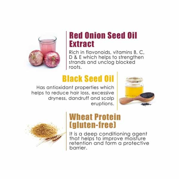 Wow Skin Science Red Onion Black Seed Oil Hair Conditioner  Tube Of 150 Ml