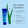 Formen Joymax Pocket Lube 20 Ml, Water-Based Natural Intimate Massage Gel With Aloe Vera Pocket Size
