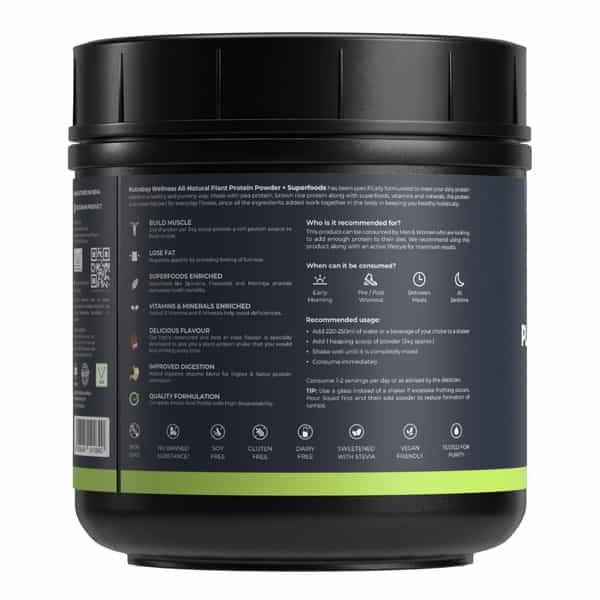 Nutrabay Wellness All-Natural Plant Protein Powder + Superfoods Gourmet Chocolate (Stevia) - 500G