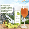 Dr. Morepen Cold Pressed | Amla | Juice | 500 Ml