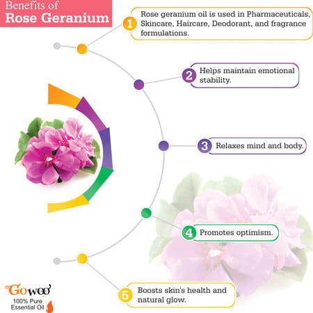 Go Woo 100% Pure Rose Geranium Oil Virgin & Undiluted 10 Ml