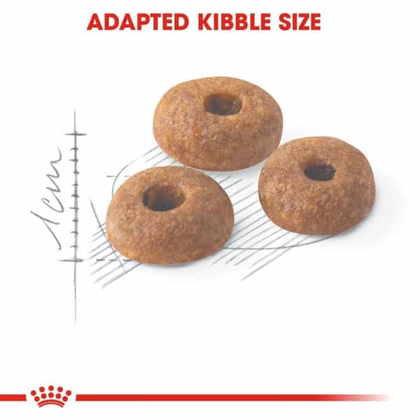 Royal Canin Fit 32 Regular Powder Adult Cat Food | 4 Kg | Dry Food | Supports Weight Management