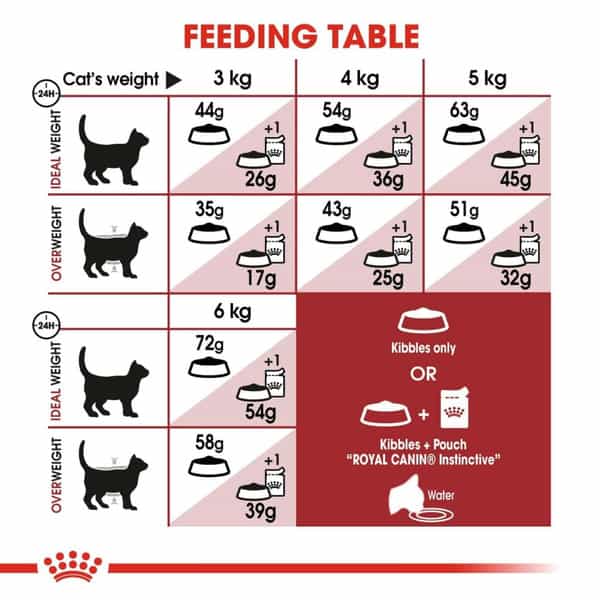 Royal Canin Fit 32 Regular Powder Adult Cat Food | 4 Kg | Dry Food | Supports Weight Management