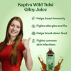 Kapiva Wild Tulsi Giloy 1000 Ml
