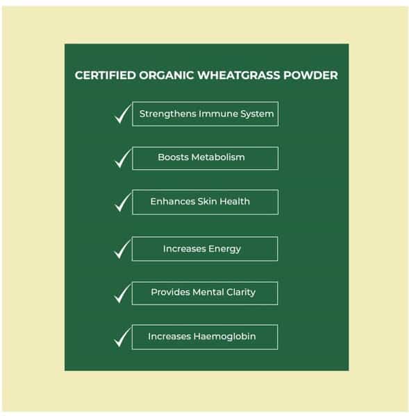 Akiva Superfoods Wheatgrass Leaf Vegan Supplement Powder Bottle Of 100 G