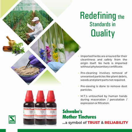 Dr. Willmar Schwabe India Berberis Aquifolium Mt 30ml