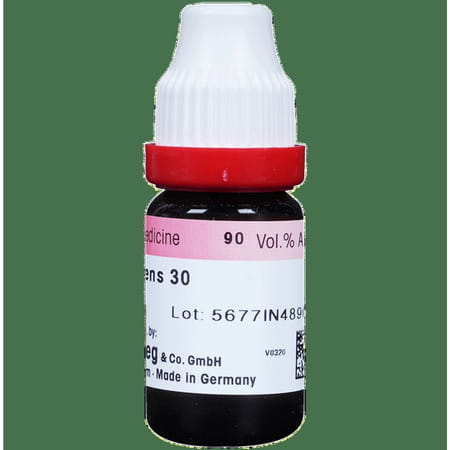 Dr. Reckeweg Ruta Graveolens Dilution 30 Ch 11 Ml