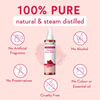 Wishcare Pure & Natural Kannauj Rose Water For Skin Face & Hair - Rose Water Spray (200Ml)