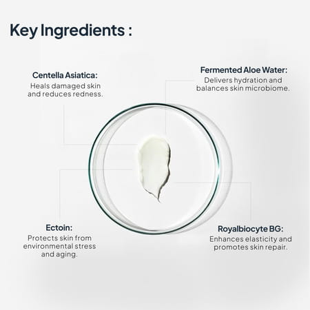Miduty Epirepair Cream - Retinol - Collagen - Anti-Wrinkle - Skin Renewal - Night Repair - 50 Gm