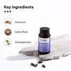 Hk Vitals Muscle Builder (60 Tabs) | With Ashwagandha | Shatavari | Safed Musli | Strength