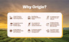 Origin Nutrition 100% Natural Vegan Plant Protein Powder Vanilla Flavour Gmo Jain 7 Servings 274G