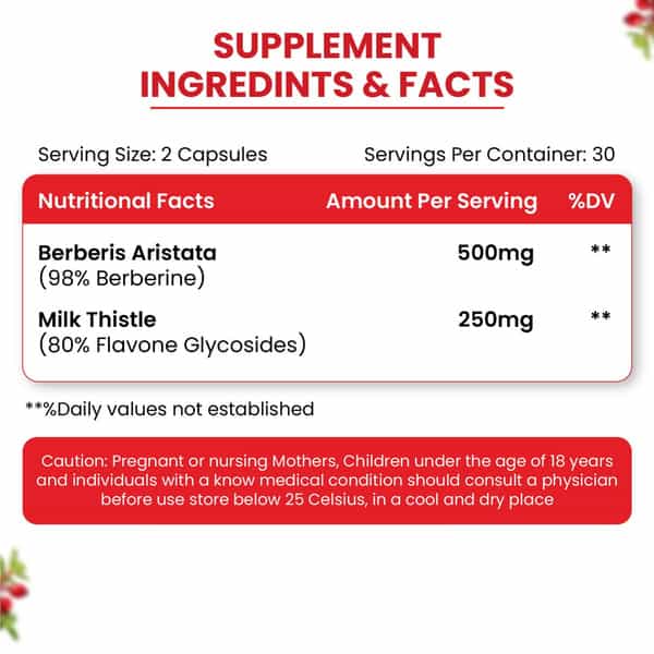 Vlado's Himalayan Organics Berberis Aristata Supplement - 60 Veg Capsules