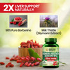 Vlado's Himalayan Organics Berberis Aristata Supplement - 60 Veg Capsules