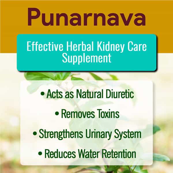 Herbal Hills Punarnava Powder 1000 Gm