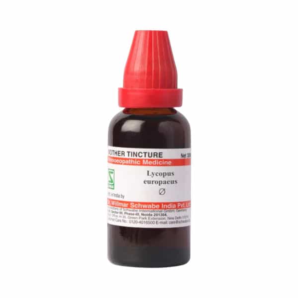 Dr. Willmar Schwabe India Lycopus Europaeus Mt 30Ml