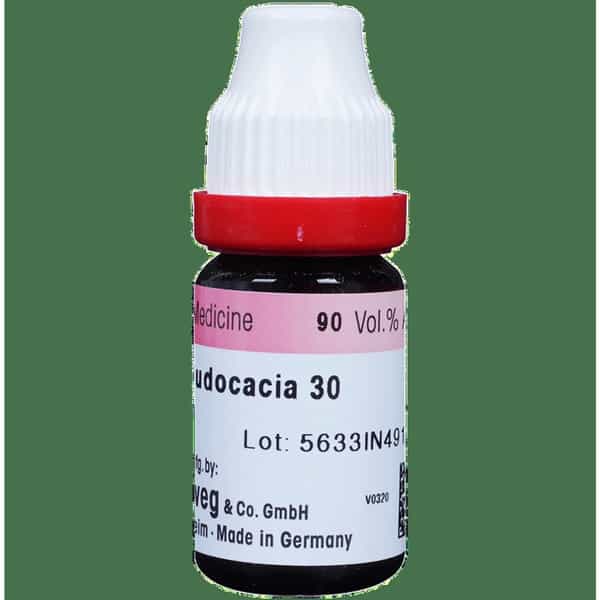 Dr. Reckeweg Robinia Pseu Dilution 30 Ch 11 Ml