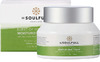 Be Soulfull Burst Of Hydration Moisturizing Cream With Hyaluronic Acid & Green Tea Extract - 50 Gm