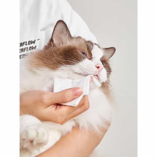 Fofos Pet Cleaning Wipes Unscented - 80Pcs